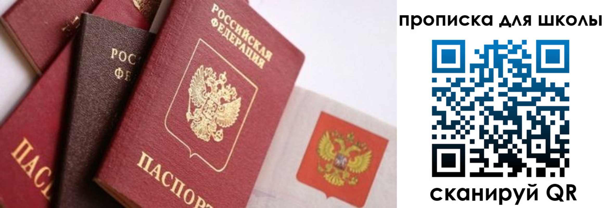 прописка поиск в Мыски
